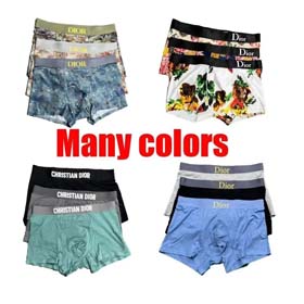 Dior Herrenmode bunte gedruckte Hosen Boxer Hosen Unterwäsche 3PCS-2404  