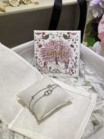 Dior Stern Silber Doppel Armband-3562  